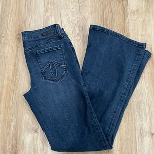 Level 99 Dahlia Flare Jeans Size 25
